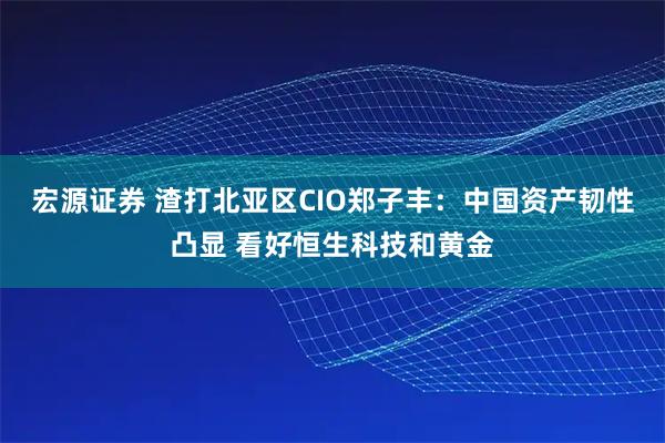 宏源证券 渣打北亚区CIO郑子丰：中国资产韧性凸显 看好恒生科技和黄金