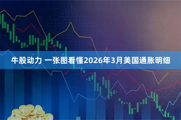 牛股动力 一张图看懂2026年3月美国通胀明细